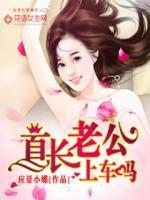 宠妻狂魔龙太子,上车吗?