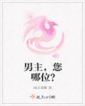 男主,您哪位?