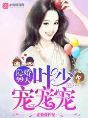 隐婚99天:叶少,宠宠宠!