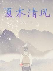 夏木清风