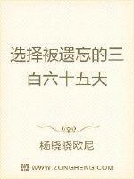 选择被遗忘的三百六十五天