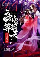 神医凰后:帝尊,宠翻天