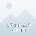猎魔人:狼学派的狩魔手记