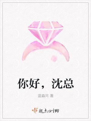 你好,沈总