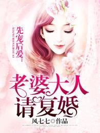 先宠后爱：老婆大人请复婚