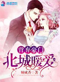 背弃豪门:北城暖爱